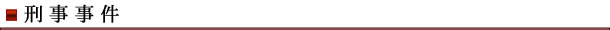 刑事事件